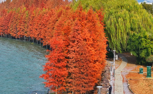 http://www.wfzhuangchen.com/szgyyq/jsdt/202502/4d9d20e72c7d425cada95f797a1e160f/images/98a21992ddb44b309b353f6216cb0598.png